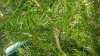 20150309_143826.jpg