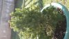 20150309_143834.jpg
