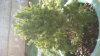 20150309_143837.jpg