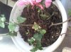 20150310_140919.jpg
