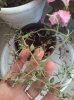 20150310_140913.jpg