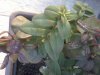 20150310_172432.jpg