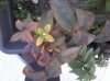 20150310_172438.jpg