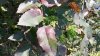 20150314_124245.jpg
