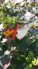 20150314_124255.jpg