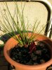DSCN5872.jpg