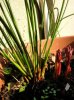 DSCN5873.jpg