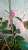 WP_20150320_003.jpg