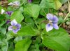 DSCN5883.jpg
