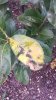 20150331_084052.jpg