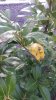 20150331_084047.jpg