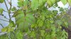 WP_20150405_18_13_09_Pro.jpg