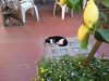 Immagine 066.jpg