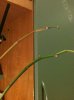 2015-04-13 20.32.45.jpg