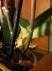 2015-04-13 20.33.15.jpg