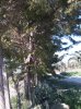 IMG_20150415_145839.jpg
