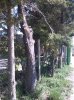 IMG_20150415_145912.jpg