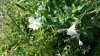 20150415_180820.jpg