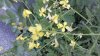 20150415_180156.jpg