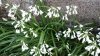 20150415_175905.jpg