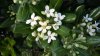 20150415_181318.jpg