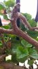 WP_20150417_13_30_34_Pro.jpg