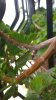 WP_20150417_13_32_07_Pro.jpg