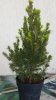 20150414_123739.jpg