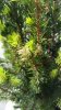 20150415_103932.jpg