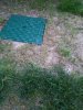 20150419_075115.jpg