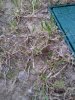 20150419_075900.jpg