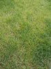 20150417_074640.jpg 20150417_074640.jpg