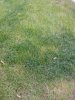 20150420_074555.jpg 20150420_074555.jpg
