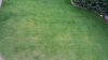 20150425_071819.jpg