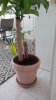 IMG_20150425_101809.jpg
