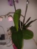 20150423_192400.jpg