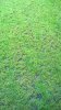 wp_20150427_11_03_26_pro.jpg
