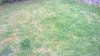 IMG-20150427-WA0001.jpg