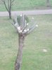 100_0030.jpg
