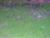 foto 039.jpg foto 039.jpg