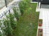 DSCN0166.jpg