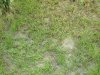 DSCN0167.jpg