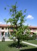 DSC01637.jpg