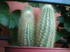 100_0070.jpg