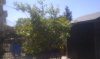 IMAG0099.jpg
