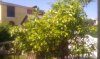 IMAG0100.jpg