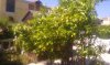 IMAG0101.jpg