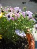 DSCN3856.jpg