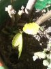 IMG_20150504_172732.jpg