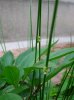 DSCN6057.jpg